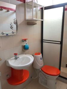 图卢阿Hotel Los Corales Tulua的一间带水槽和卫生间的小浴室