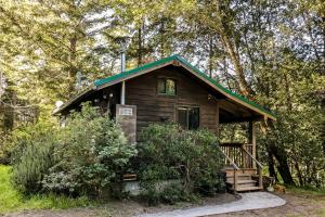 Shelter CoveCove Cabin Retreat的绿色屋顶的树林小屋