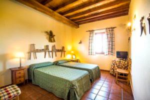 奥罗佩萨La Hostería de Oropesa的一间卧室设有一张绿色的床和一个窗户。
