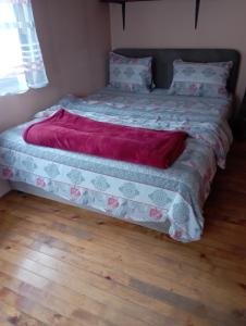扎布利亚克Rooms Apartment Durmitor的床上有红毯