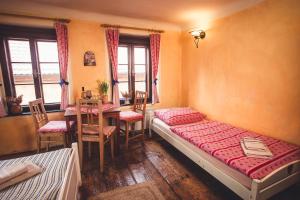 捷克克鲁姆洛夫佩西恩赛特卡卡酒店的卧室配有一张床和一张桌子及椅子