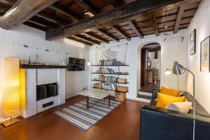 罗马Ciambella Terrace-Rental in Rome的带沙发和壁炉的客厅