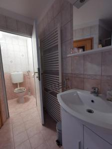 卡尔洛瓦茨Nikol的浴室配有白色水槽和卫生间。