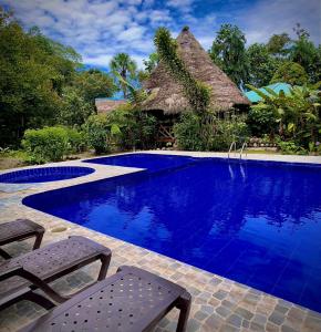 米萨华丽港Rio Napo Lodge的一个带两把椅子和茅草屋顶的度假游泳池