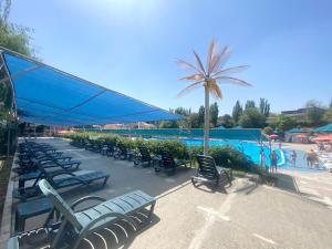 Armenian Village Park Hotel & FREE Water Park, GYM内部或周边的泳池