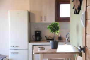 埃尔莫波利斯Picollo Grecia Residence Panoramic View的餐桌上的小厨房,有盆栽植物