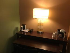 贝尔维尤贝尔维尤酒店的饭店房间桌子上的一盏灯