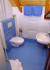 ArnutovcePenzion Úsmev的蓝色瓷砖浴室设有卫生间和水槽