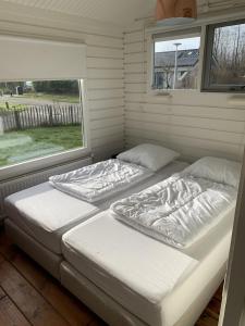 劳雷尔苏格Lauwersmeer 120的两张床位于带窗户的房间内
