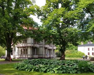 尤城Villa Eira vandrarhem的一座树前的老房子