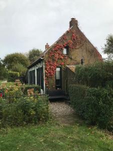 WaterlandkerkjeDijkhuisje Zeeland的一座常春藤的老房子