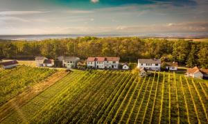 德普因-艾森伯格Ferienhaus Szapary II的享有农场的空中景色,种植了葡萄