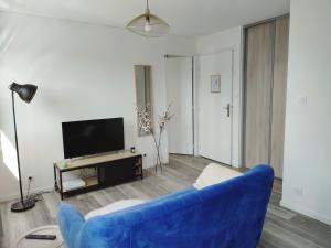 布雷斯特Charmant T1 bis dans un quartier calme的客厅配有蓝色的沙发和电视