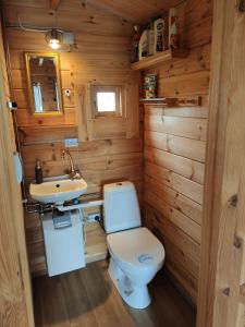 塞尔福斯Cosy Cabin by Lake & Woods with Views的一间带卫生间和水槽的小浴室