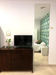 马拉加Apartamento con piscina en Ciudad Jardín的一间带电视和镜子的客厅