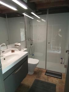 Aransísmasia colomet的浴室配有卫生间、盥洗盆和淋浴。