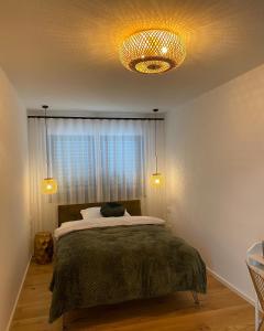 莱茵河畔凯尔Mittendrin Ortenau -keine Monteurwohnung-的一间卧室设有一张床和一个大窗户