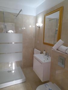 布雷拉Apartments - Villa Sabrina的一间带水槽、卫生间和镜子的浴室