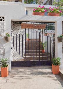 塔甘加Vito Hotel Boutique的通往种植盆栽植物的房子的大门
