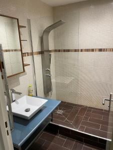 Saint EtienneBel appartement composé de deux chambres的一间带水槽和淋浴的浴室