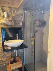卡米尼亚Casa da Portela的一间带水槽和玻璃淋浴的浴室