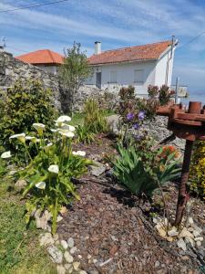 卡米尼亚Casa da Portela的一座花园,在房子前种有鲜花