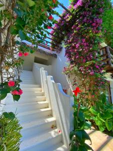 杰里科科拉Enjoy Jeri Praia的建筑物一侧有鲜花的楼梯