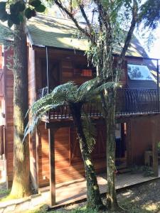 格拉玛多Chalé Romântico - Gramado的一座木房子,设有甲板和两棵树