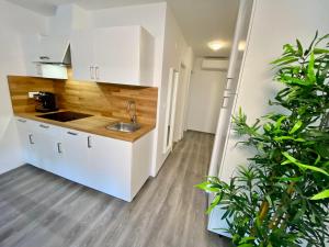 博维茨Apartment 3 Sovice的厨房配有白色橱柜和水槽