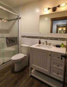 乔治城Clear Creek Inn的浴室配有卫生间、盥洗盆和淋浴。