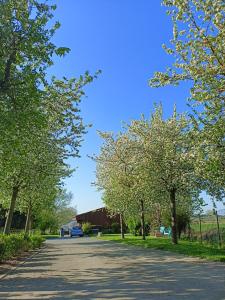 VerlinghemLes chambres d'hôtes DU VERT GALANT " l'Allée des champs"的一条树木成荫的道路,在远处停有一辆汽车