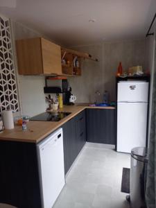拉加尔代弗雷纳Mobil home yves et magali的厨房配有白色冰箱和木制橱柜。