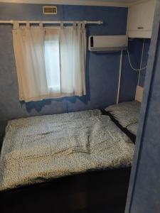 Dolné PlachtinceUbytovanie v súkromí的小房间设有两张床和窗户