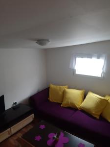 Dolné PlachtinceUbytovanie v súkromí的客厅配有紫色沙发和黄色枕头