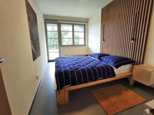 日茄基Apartmán SVAN B2的一间卧室配有一张带蓝色床单的床和一扇窗户。