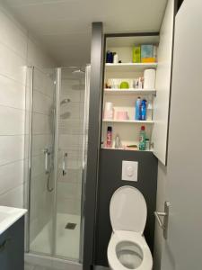 BeaumontAppartement的浴室配有淋浴间和卫生间。