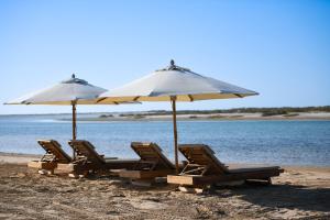乌姆盖万Siniya Island Resorts的海滩上的2把沙滩椅和遮阳伞
