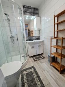 布雷拉Villa Joška的带淋浴、卫生间和盥洗盆的浴室