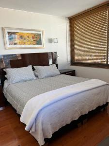 圣地亚哥Providencia Pedro de Valdivia 0200的一间卧室设有一张床和一个窗口