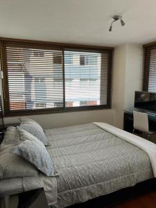 圣地亚哥Providencia Pedro de Valdivia 0200的卧室配有一张床、一张书桌和窗户。