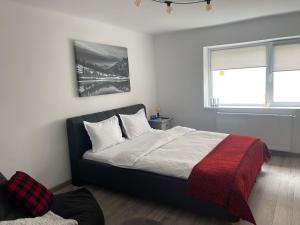 布拉索夫Maple Lodge Apartments的一间卧室配有一张带红色毯子的床和窗户。