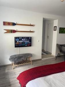 布拉索夫Maple Lodge Apartments的一间带电视和红色地毯的客厅
