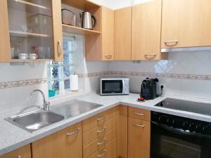 米尔芳提斯城Apartamento Estúdio Pinhalmar的厨房配有水槽和微波炉