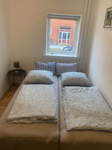 埃斯比约Grønnegade - tæt på centrum的一张位于带两个枕头和窗户的房间的床铺