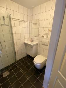 埃斯比约Grønnegade - tæt på centrum的一间带卫生间和水槽的浴室