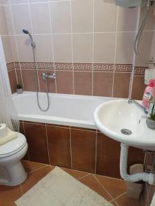 诺维萨德Apartman Centar的带淋浴、盥洗盆和卫生间的浴室
