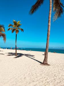 好莱坞比奇泰德汽车旅馆的两棵棕榈树,位于沙滩上,与大海