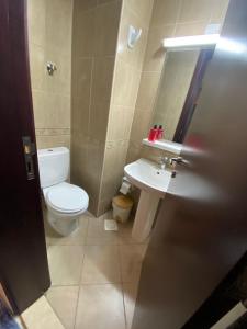 阿吉曼Lovely 1-bedroom Apartment with free Parking on premises的一间带卫生间、水槽和镜子的浴室