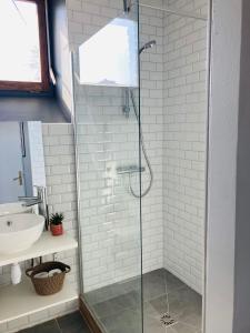 埃皮纳勒Charmant appartement的一间带玻璃淋浴间和水槽的浴室