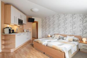 马达伯乐斯拉夫Hotel Osvit的一间卧室配有一张床和一间厨房